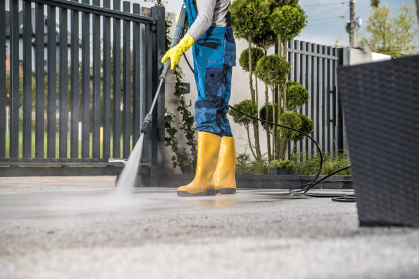 Best Dumpster Area Cleaning  in Green Valley, CA